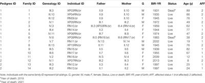 XPC and POLH/XPV Genes Mutated in a Genetic Cluster of Xeroderma Pigmentosum Patients in Northeast Brazil